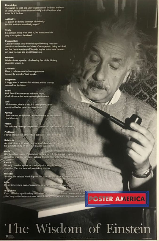 Albert Einstein The Wisdom Of Inspirational Poster 23 X 35 Posters Prints & Visual Artwork