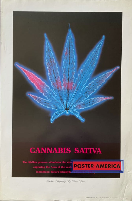 Cannabis Sativa The Kirlian Process Vintage 1991 Poster 23 X 35 Photograph By Bruce Lynne