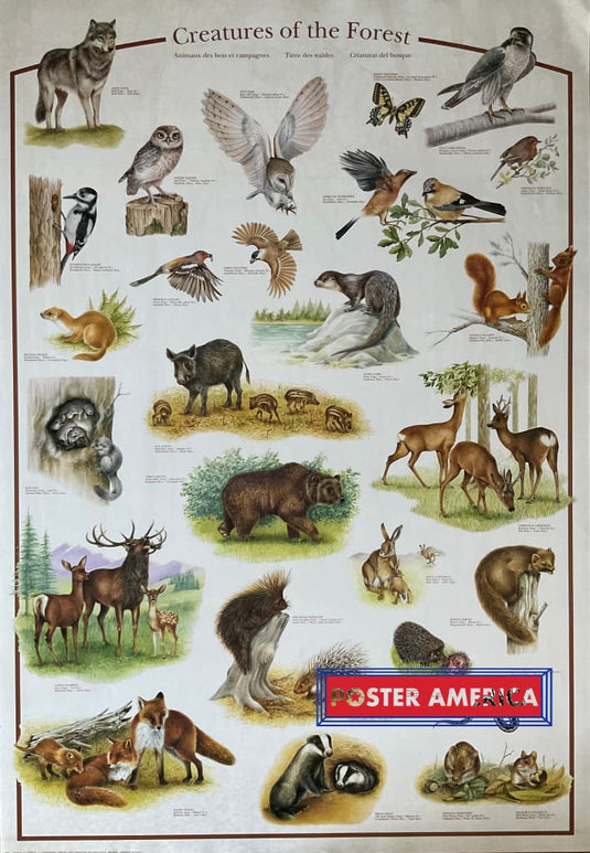 Creatures Of The Forest Vintage 1993 Poster 27 X 38.5