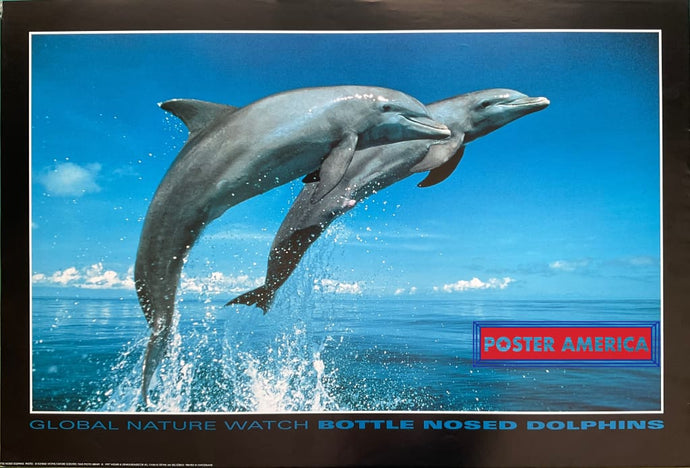 Global Nature Watch Bottle Nosed Dolphins Vintage 1997 Swiss Import Poster 23.5 X 35
