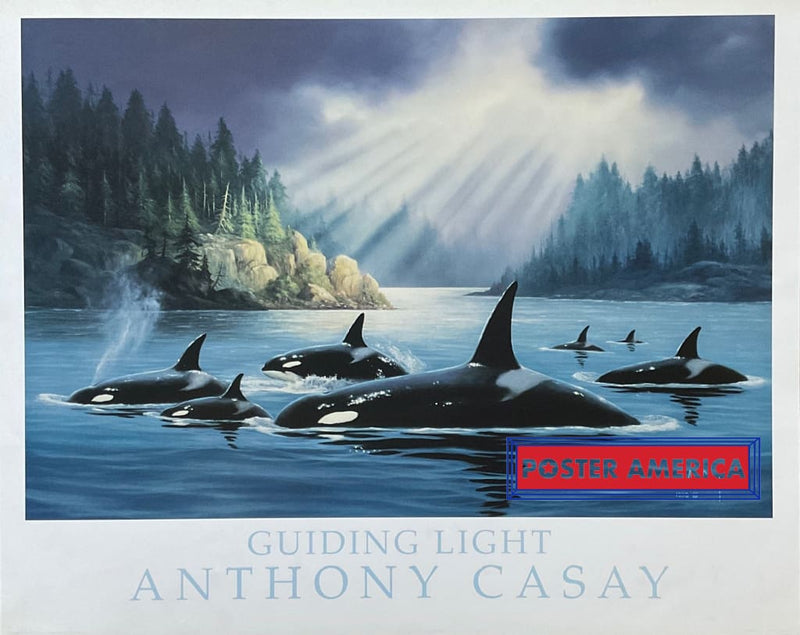 Load image into Gallery viewer, Guiding Light Orca Art By Anthony Casay Vintage 1993 Poster 24 X 30 Fine Print
