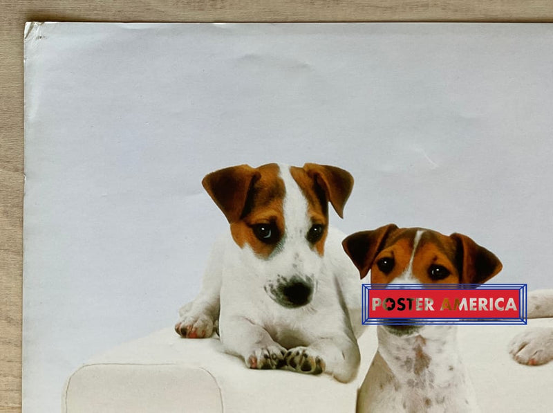 Load image into Gallery viewer, Jack Russell Terriers Vintage Photography Slim Print Poster 12 X 36
