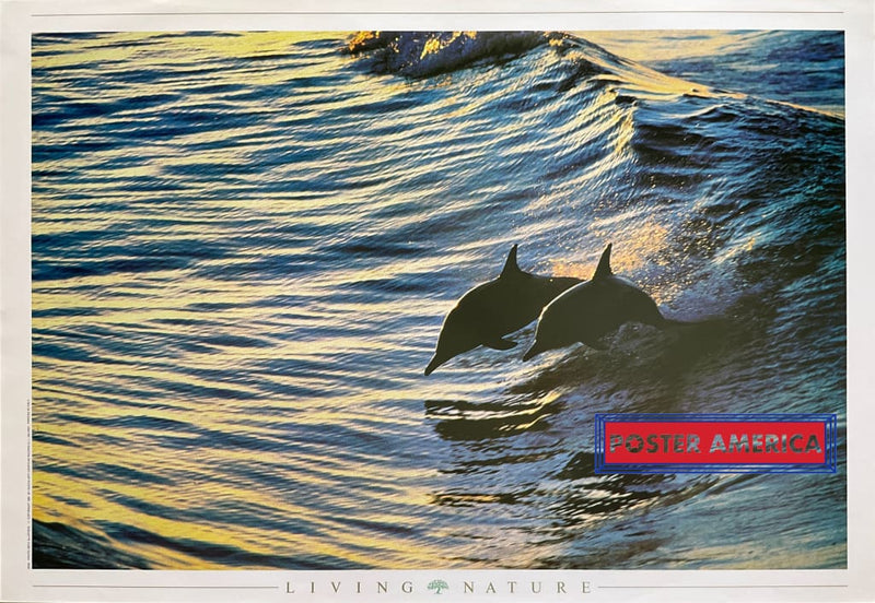 Load image into Gallery viewer, Living Nature Dolphins Vintage 1991 Italian Import Photography Poster 24 X 34.5
