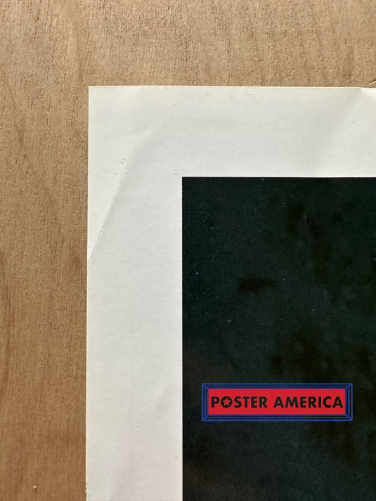 Pigs I Vintage Photography Poster 19 X 25 Fine Art Print