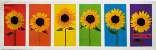 Rainbow Sunflower Vintage 2002 Photography Slim Print 12 X 36