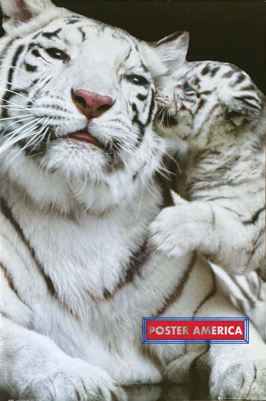 Siberian Tiger With Cub Out Of Print Poster 24 X 36