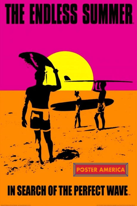 The Endless Summer Movie Poster 24 X 36