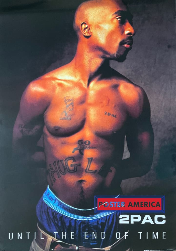 Load image into Gallery viewer, 2Pac Until The End Of Time 2003 Album Cover Poster 25 X 35
