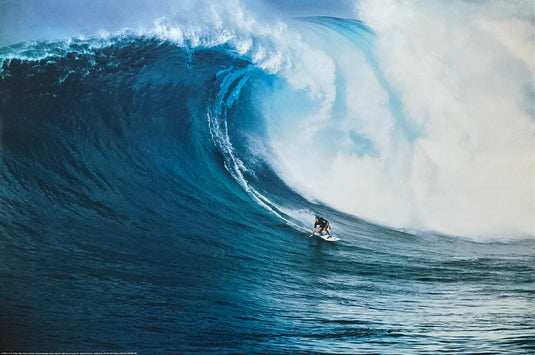 Let’s Go Surfing National Geographic Collection Poster 24 x 36
