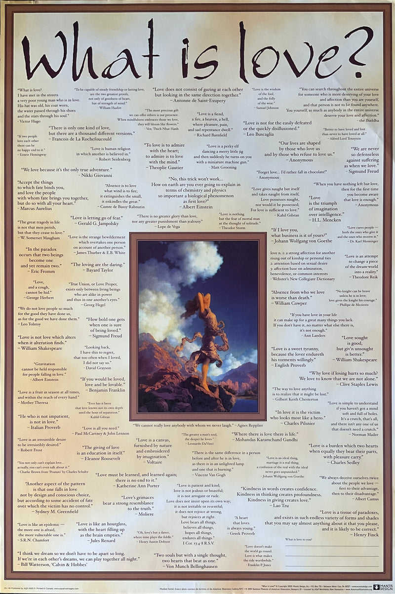 Load image into Gallery viewer, What is Love? Vintage 2002 Inspirational Poster 24 x 36

