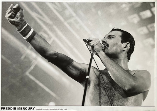 Freddie Mercury London at Wembley UK Import Poster 23.5 x 33