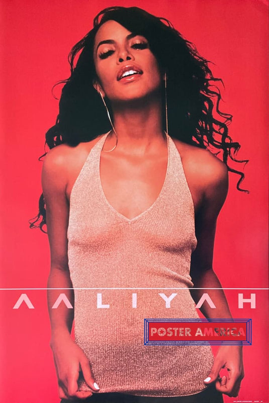 世界有名な Album Alternate Aaliyah Cover 36 x 24 Poster Style コレクション