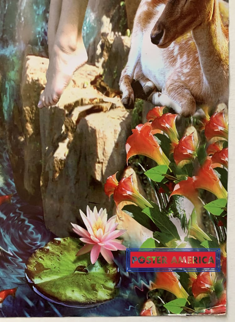 Load image into Gallery viewer, Adrian Chesterman Fairy Falls 24 X 36 Poster
