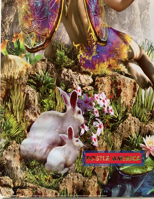 Adrian Chesterman Fairy Falls 24 X 36 Poster
