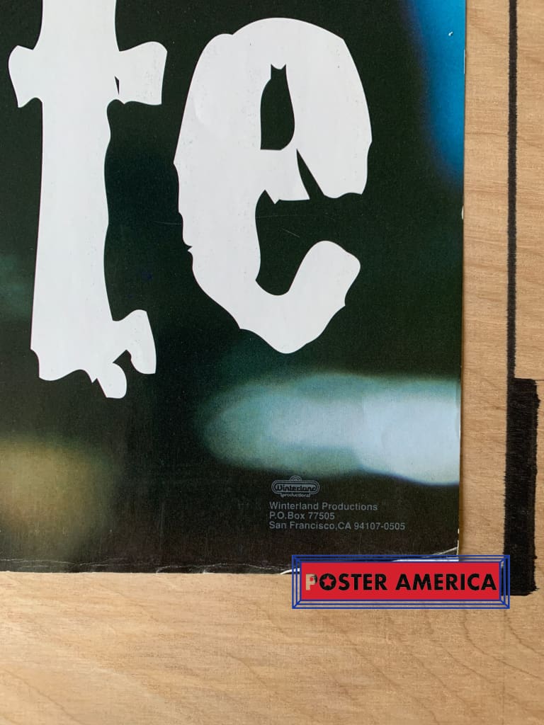 Load image into Gallery viewer, Alanis Morissette Shot By Michele Laurita Vintage 1995 Poster 23 X 35
