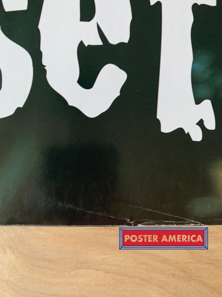 Load image into Gallery viewer, Alanis Morissette Shot By Michele Laurita Vintage 1995 Poster 23 X 35
