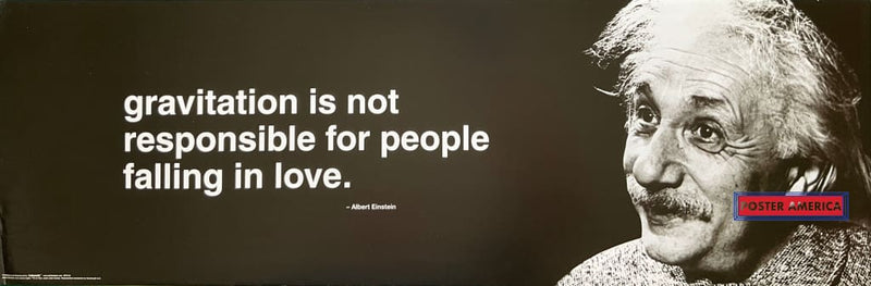 Load image into Gallery viewer, Albert Einstein Gravity And Love Quote Slim Print 12 X 36
