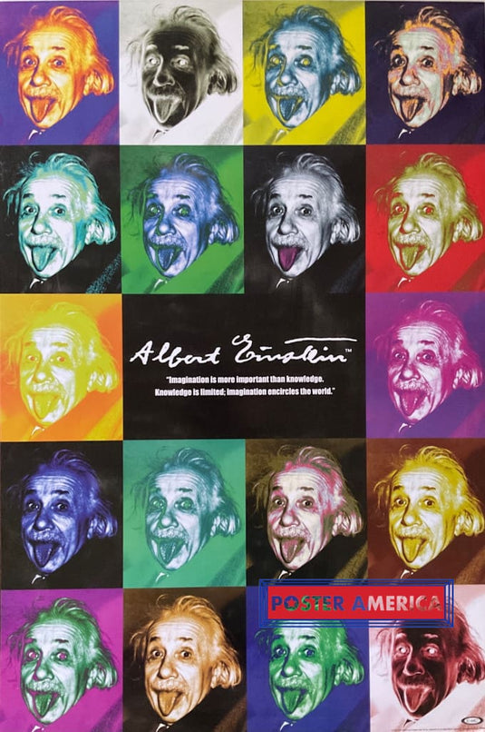 Albert Einstein Inspirational Quote 2005 Pop Art 24 X 36 Poster