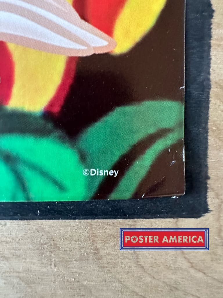 Load image into Gallery viewer, Alice In Wonderland Poster 24X36
