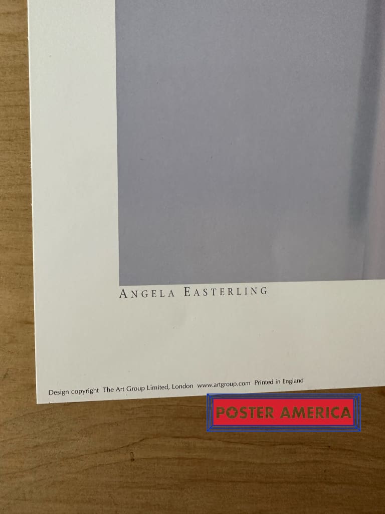 Load image into Gallery viewer, Allium By Angela Easterling Vintage 2002 Photography Art Poster 19.75 X 27.5
