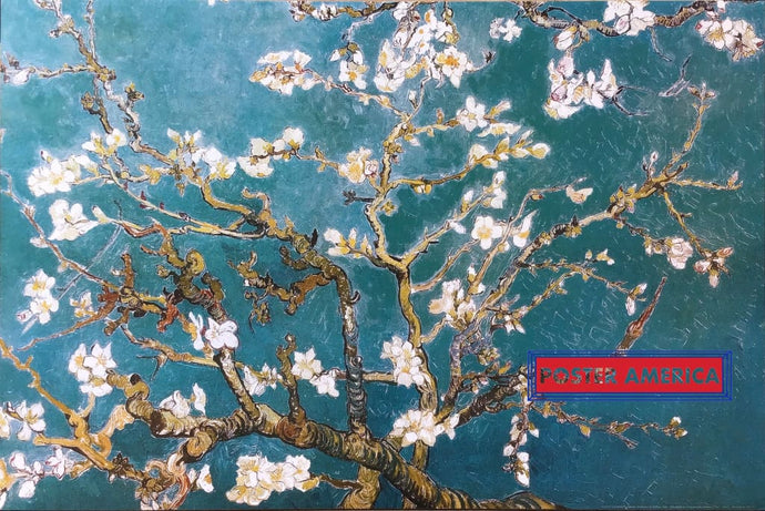 Almond Branches In Bloom By Vincent Van Gogh Art Poster 24 X 36 Posters Prints & Visual Artwork