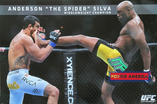 Anderson The Spider Silva Ufc Poster 24 X 36