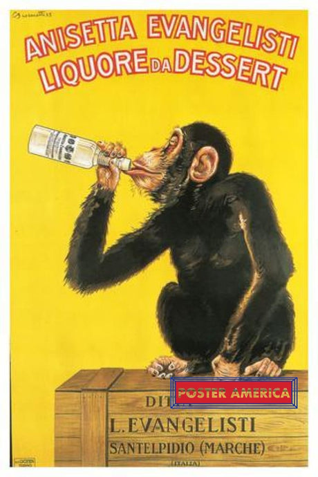 Anisetta Evangelisti Chimpanzee Advertisement Poster 24 X 36