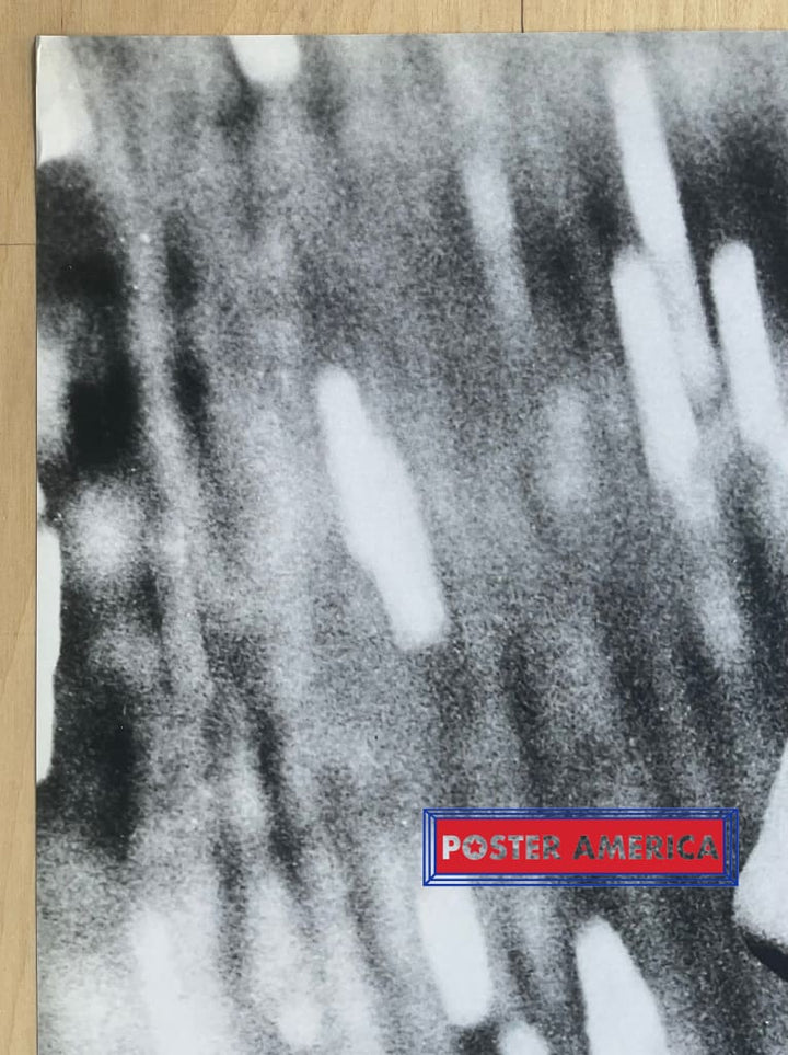 Anita Ekberg UK Import Celebrity Poster 24 x 36 – PosterAmerica