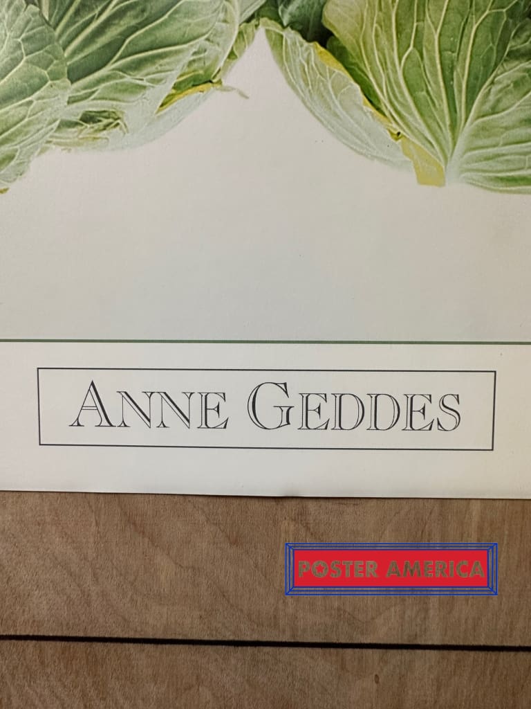 Load image into Gallery viewer, Anne Geddes Babies In Cabbage Art Vintage 1993 Poster 18 X 24 Vintage Poster
