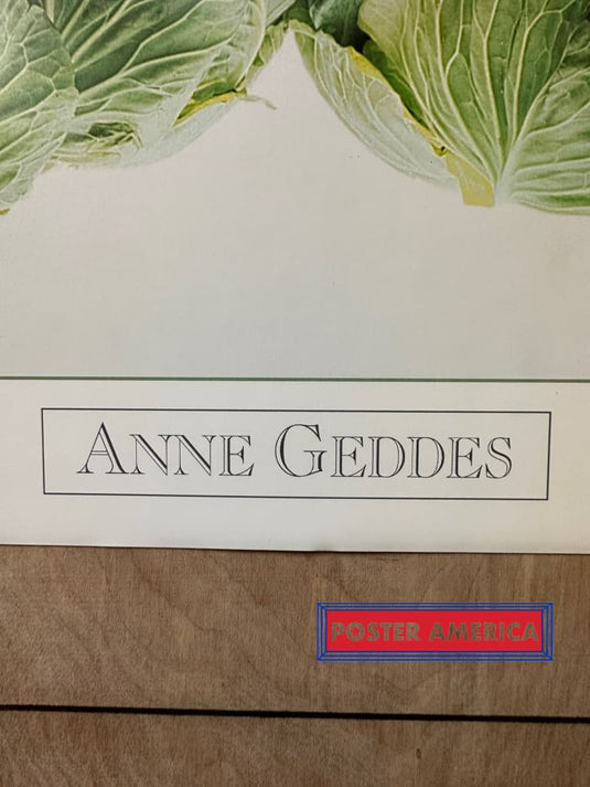 Anne Geddes Babies In Cabbage Art Vintage 1993 Poster 18 X 24 Vintage Poster