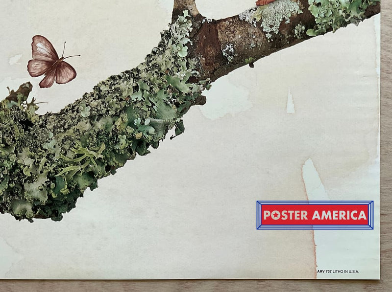 Load image into Gallery viewer, Anne Geddes Butterfly Toddlers Vintage Photography Slim Print 12 X 36
