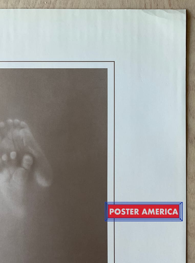 Load image into Gallery viewer, Anne Geddes Unique Exquisite Remarkable And Pure Vintage Photography Slim Print 12 X 36
