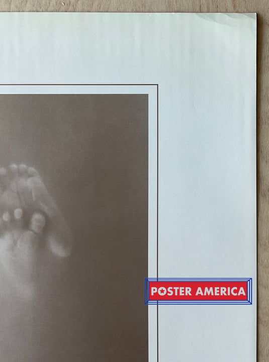 Anne Geddes Unique Exquisite Remarkable And Pure Vintage Photography Slim Print 12 X 36