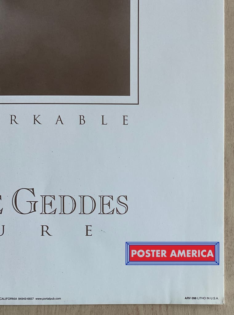 Load image into Gallery viewer, Anne Geddes Unique Exquisite Remarkable And Pure Vintage Photography Slim Print 12 X 36

