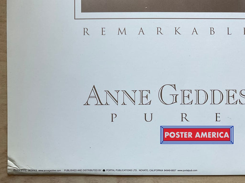 Load image into Gallery viewer, Anne Geddes Unique Exquisite Remarkable And Pure Vintage Photography Slim Print 12 X 36
