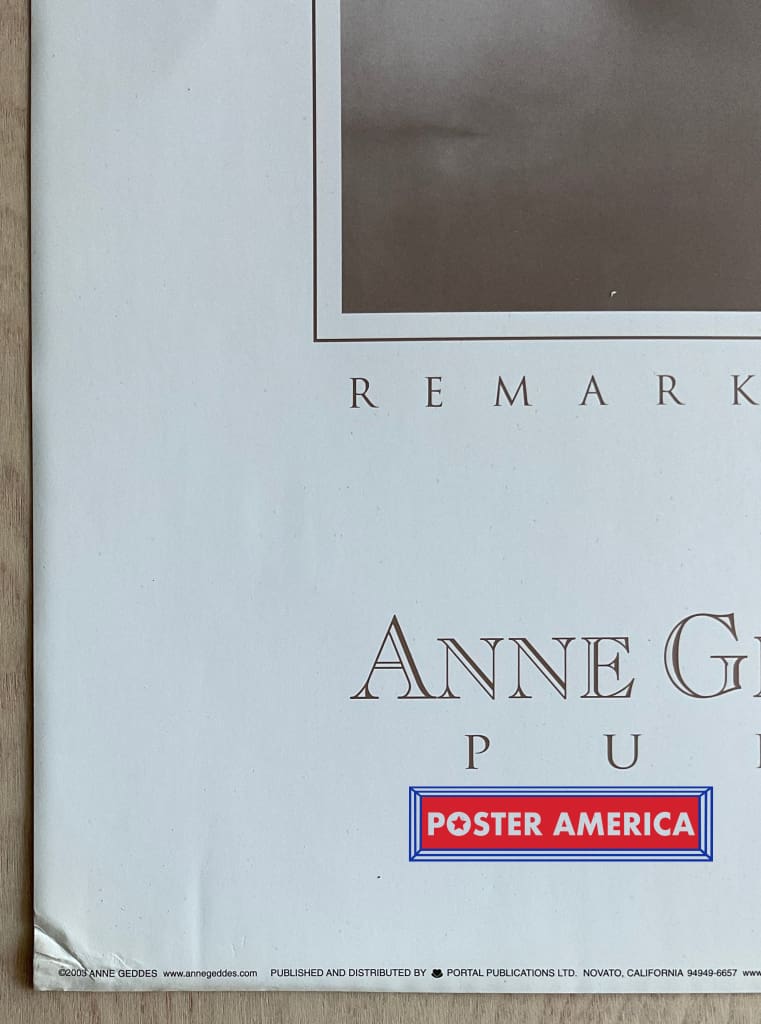 Load image into Gallery viewer, Anne Geddes Unique Exquisite Remarkable And Pure Vintage Photography Slim Print 12 X 36
