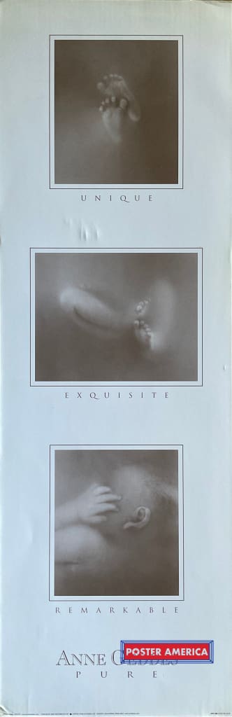 Anne Geddes Unique Exquisite Remarkable And Pure Vintage Photography Slim Print 12 X 36