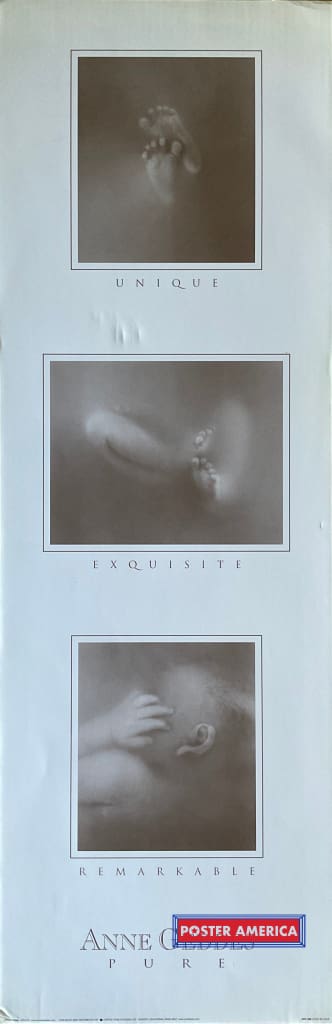 Anne Geddes Unique Exquisite Remarkable And Pure Vintage Photography Slim Print 12 X 36