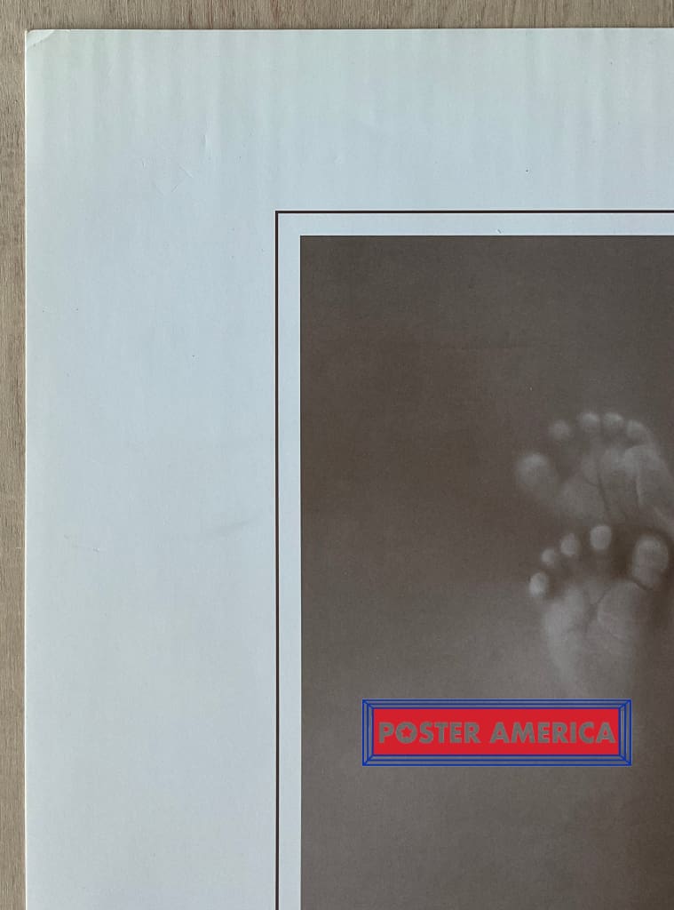 Load image into Gallery viewer, Anne Geddes Unique Exquisite Remarkable And Pure Vintage Photography Slim Print 12 X 36
