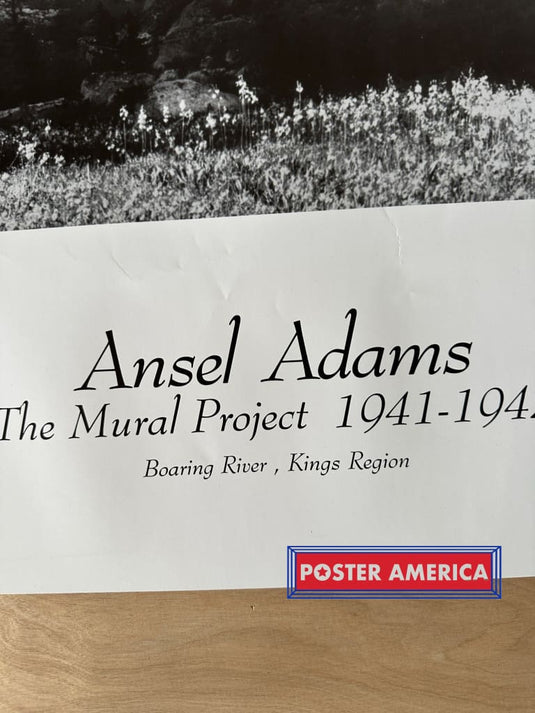 Ansel Adams The Mural Project Boaring River Kings Region Poster Print 22 X 28 Vintage Poster