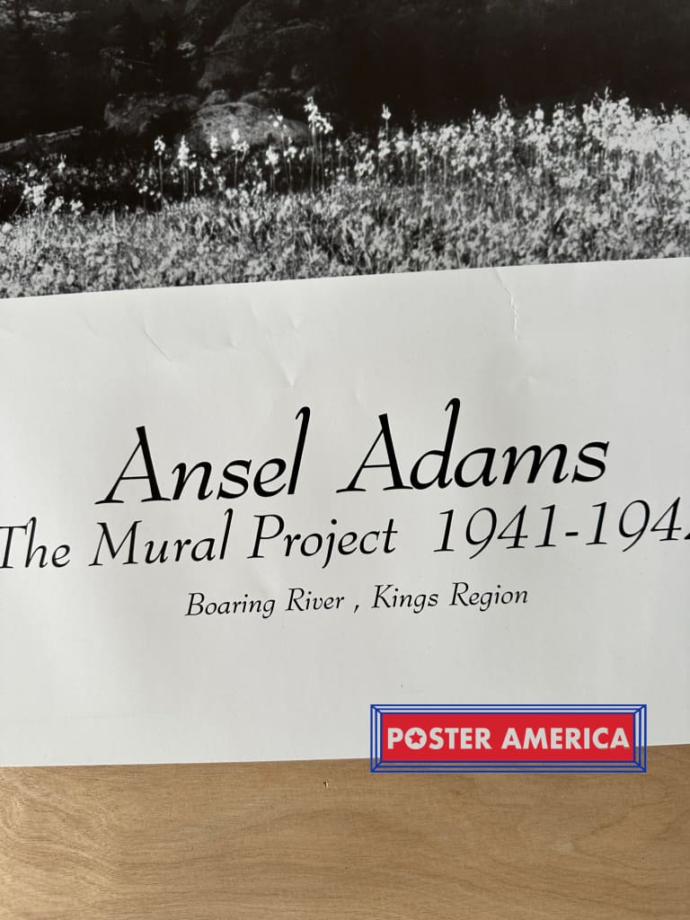 Load image into Gallery viewer, Ansel Adams The Mural Project Boaring River Kings Region Poster Print 22 X 28 Vintage Poster
