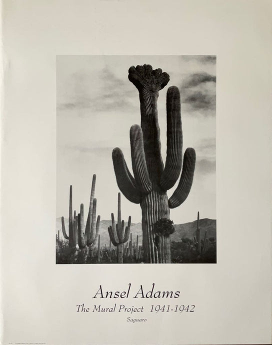 Ansel Adams The Mural Project Saguaro Poster Print 22 X 28 Vintage Poster
