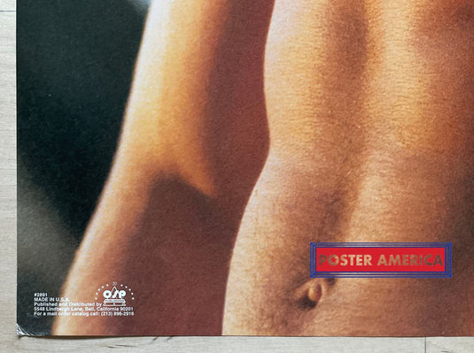 Antonio Sabato Jr. Male Modeling Poster 23 X 35