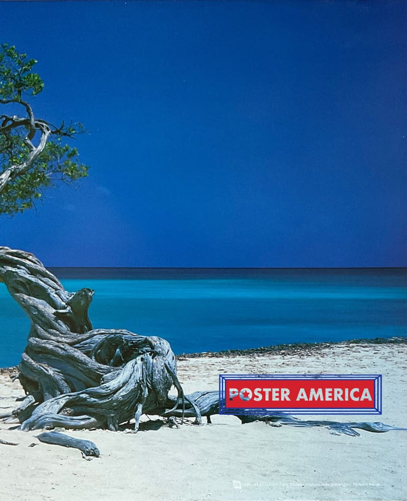 Load image into Gallery viewer, Aruba Beach Scenic Poster 12 X 36 Posters Prints &amp; Visual Artwork
