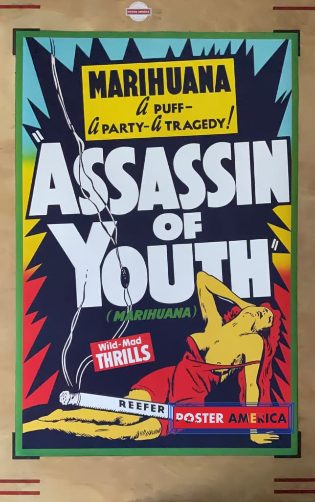 Load image into Gallery viewer, Assaination Of Youth Reefer Poster 24 X 36
