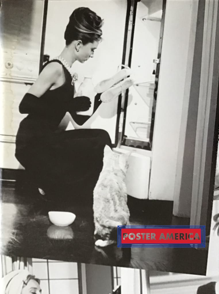 Load image into Gallery viewer, Audrey Hepburn Breakfast At Tiffanys Black &amp; White Collage Poster 24 X 36
