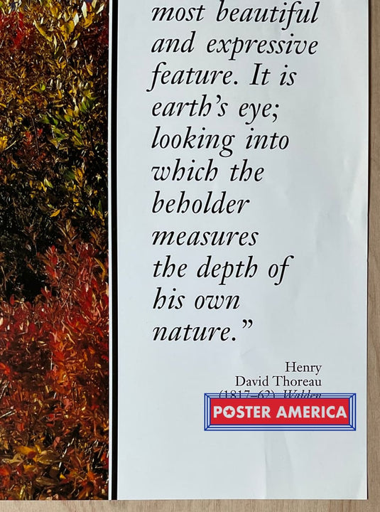 Autumn Landscape Henry David Thoreau Vintage Quote Poster 24 X 35