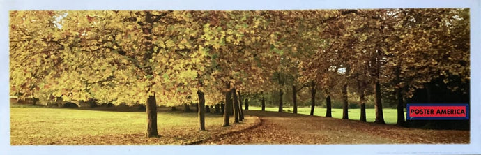 Autumn Leaves Loire Valley France 2006 Art Poster 12 X 36