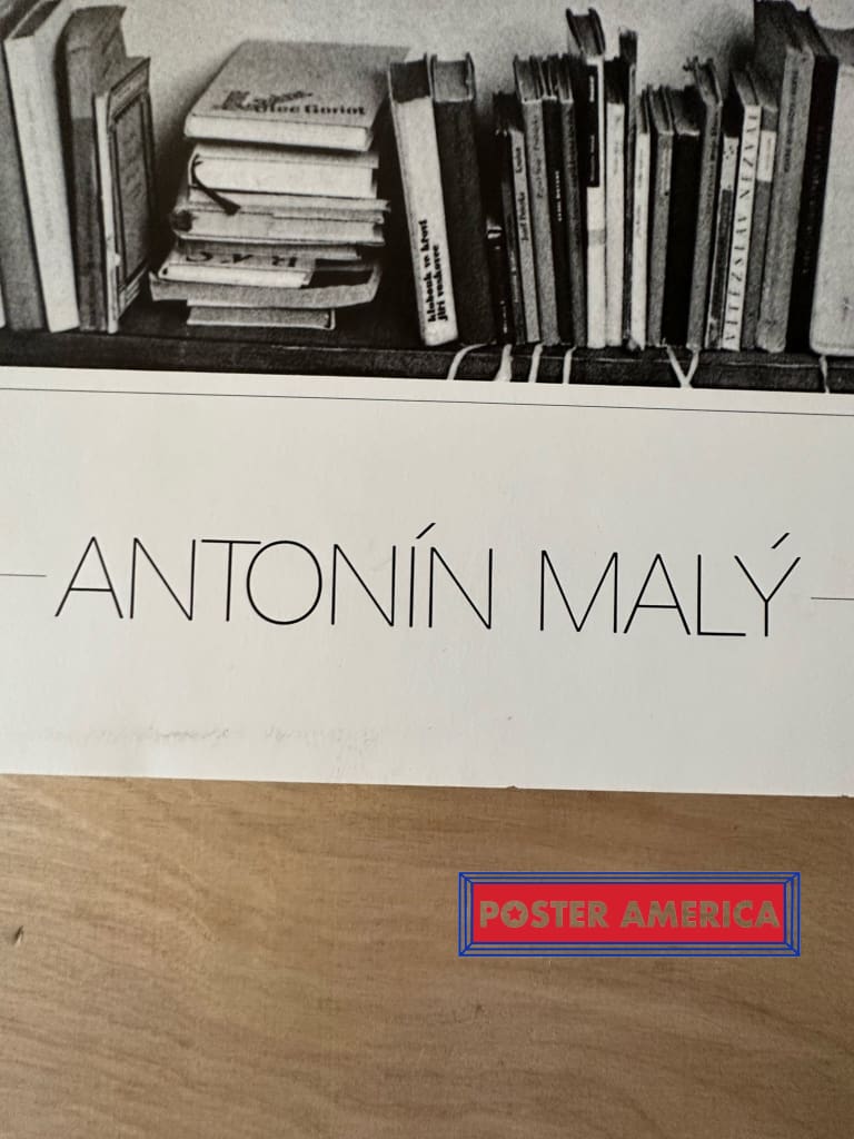 Load image into Gallery viewer, Dog In Bookshelf By Antonín Maly Vintage Photography Art Poster 19.5 X 27.5
