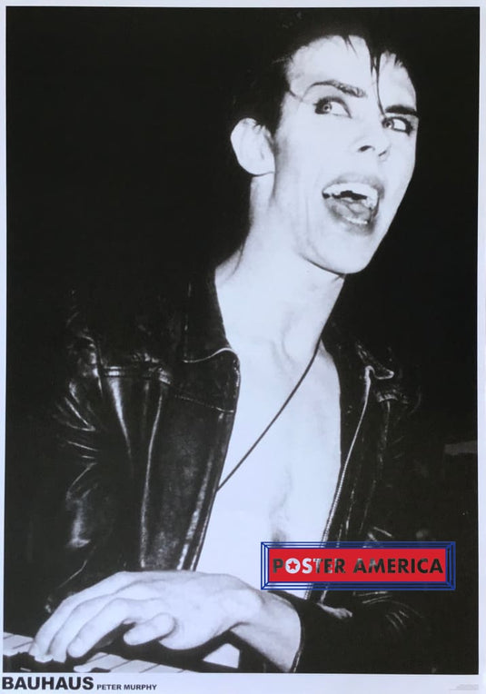 Bauhaus Perer Murphy Black And White Poster 23.5 X 33 Posters Prints & Visual Artwork